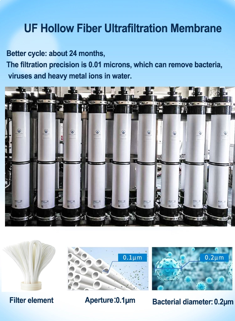 6000L/H Mineral Water Treatment Machine UF System Ultrafiltration Water Treatment Equipment