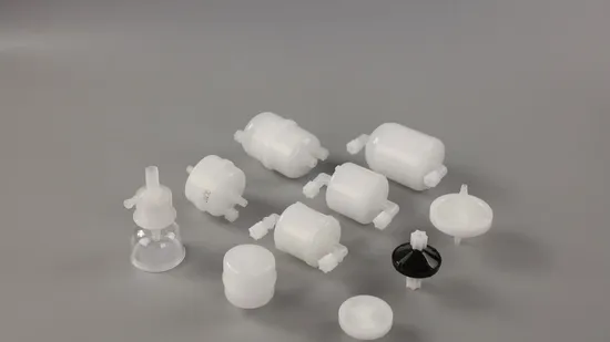 0.2 Micron Pes Filter Cartridge Capsule Darlly Filtration 
