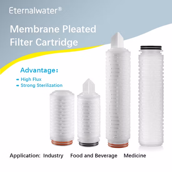 30inch Pes Membrane Pleated Depth Filter Cartridges 0.1um/0.22um/0.45um/0.65um/1.2um Cartridge Filters