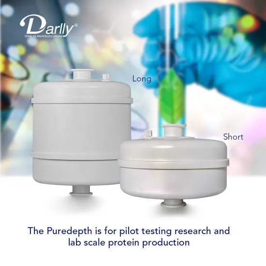 Darlly Filtration The Depth Plus Capsule Filter 